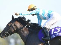 追悼》タイキシャトルは日本競馬史上もっとも偉大なマイラーだっ