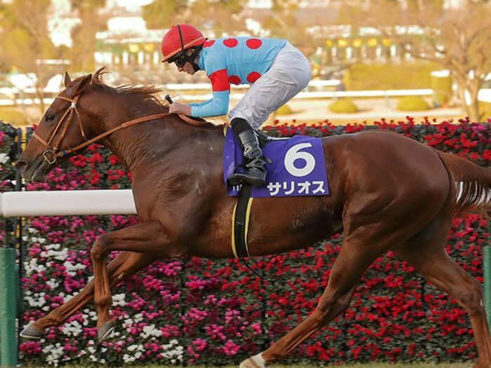 2歳王者サリオスの底しれぬ強さ。超ハイペースを前から押し切る完勝。＜Number Web＞ photograph by Yuji Takahashi