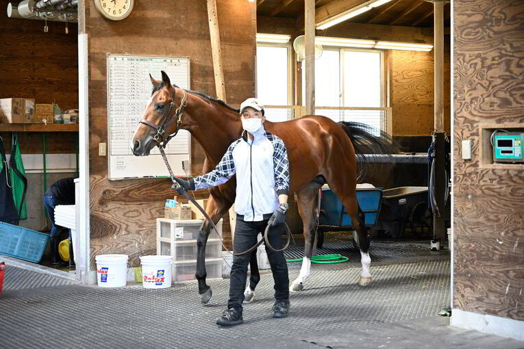 ソールオリエンスは“取材中も”くつろいでいた…記者が目撃した、ダービー1番人気の「名馬の風格」 武豊“絶賛”のファントムシーフも侮れない(15)