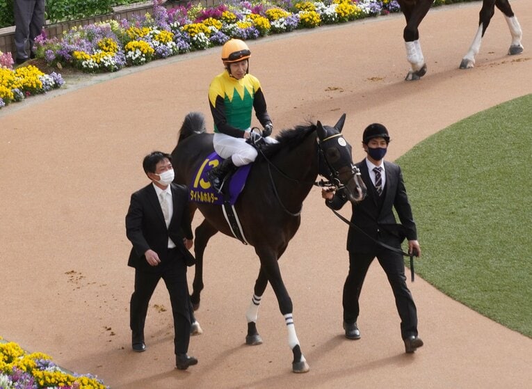 皐月賞のタイトルホルダー