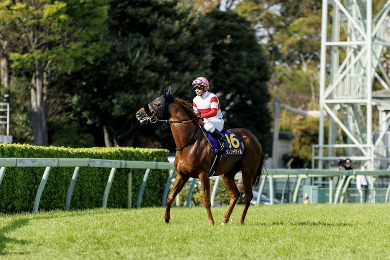 皐月賞の返し馬。横山典弘はダノンデサイルのわずかな異変を感じ取った　©Kiichi Matsumoto
