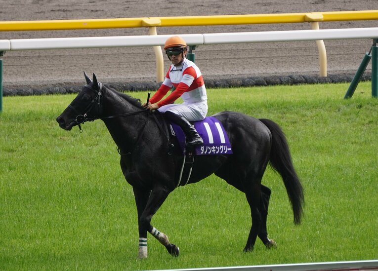 安田記念でのダノンキングリー