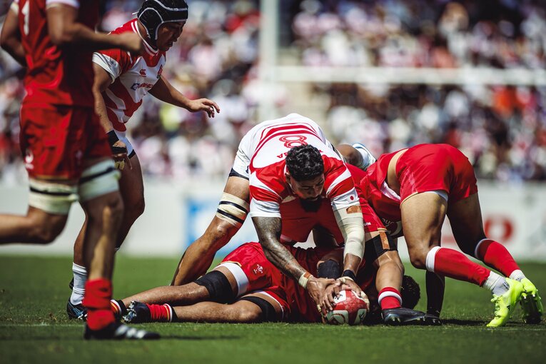 No.8ファカタヴァ アマト　©︎Kiichi Matsumoto