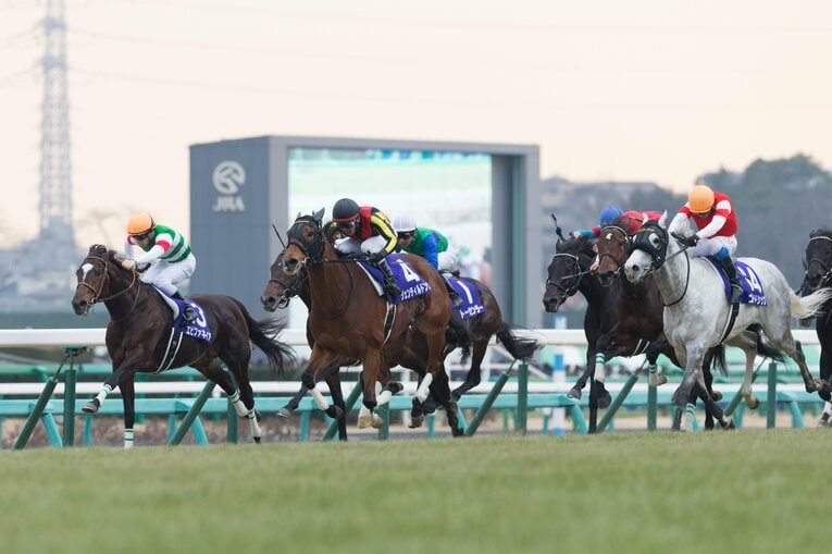 エピファネイア、ジェンティルドンナ、ゴールドシップ／2014年有馬記念 ／ photograph by Getty Images