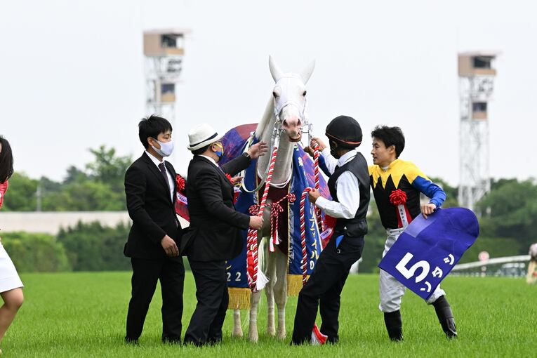 ソダシvsスターズオンアースは競馬史に残るレースとなるか？「ウオッカとダイワスカーレット」以来の“名牝ライバル誕生”を期待してしまう理由(24)