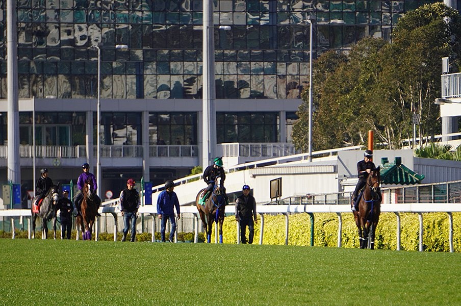 アーモンドアイ回避も注目の香港GI。4レースに臨む日本馬9頭は“買い”。<Number Web> photograph by Satoshi Hiramatsu