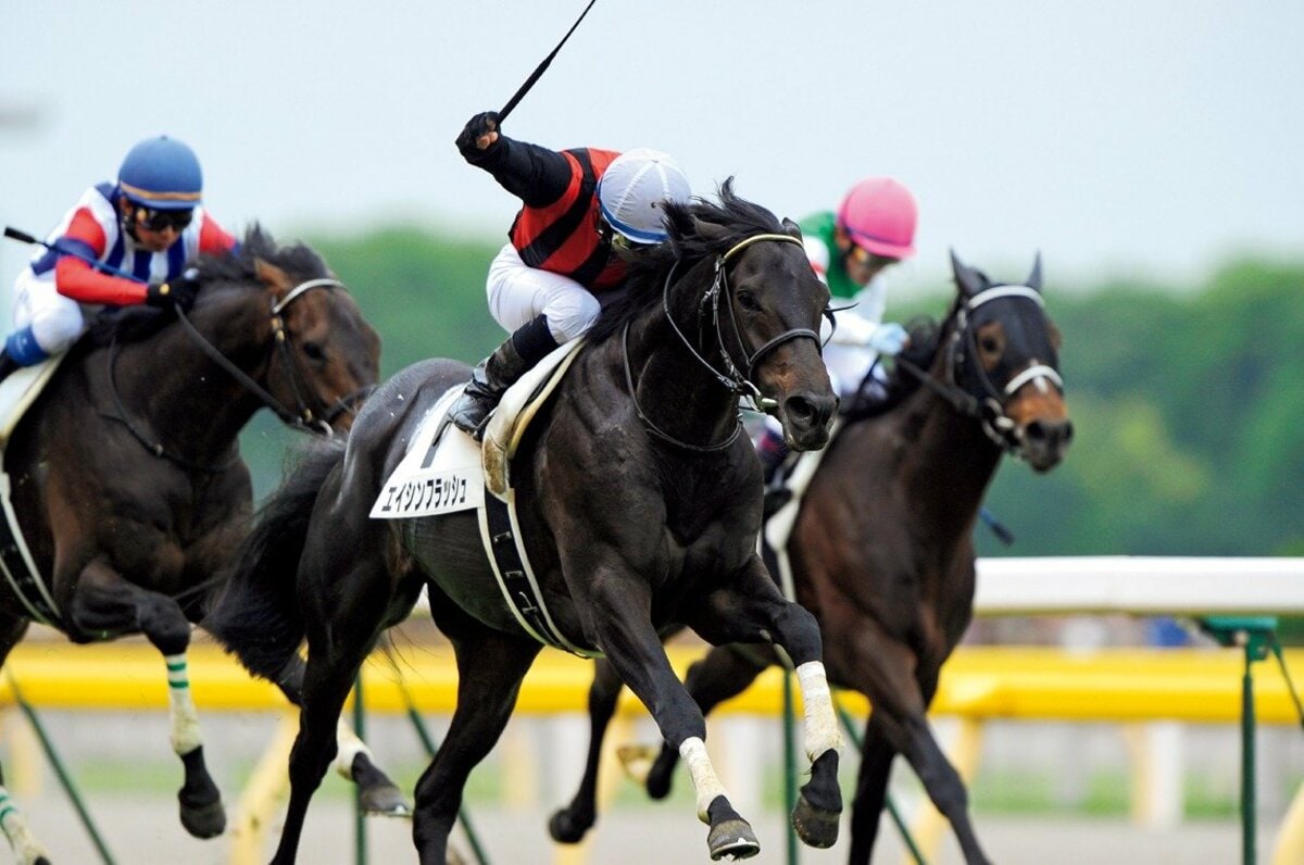 かなりヤンチャで怪獣みたい」“7番人気の伏兵”エイシンフラッシュが