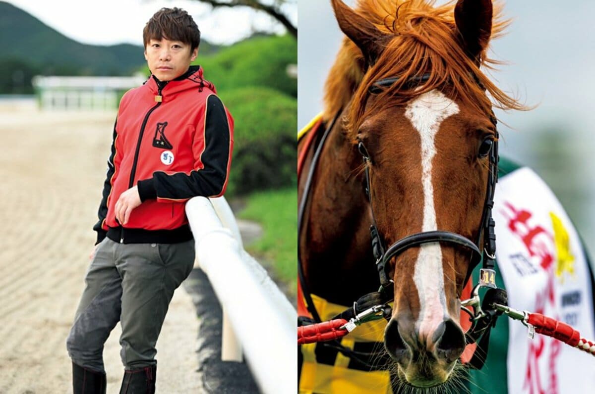 8,913円[非売品] 競馬　三冠馬　オルフェーヴルキャップ