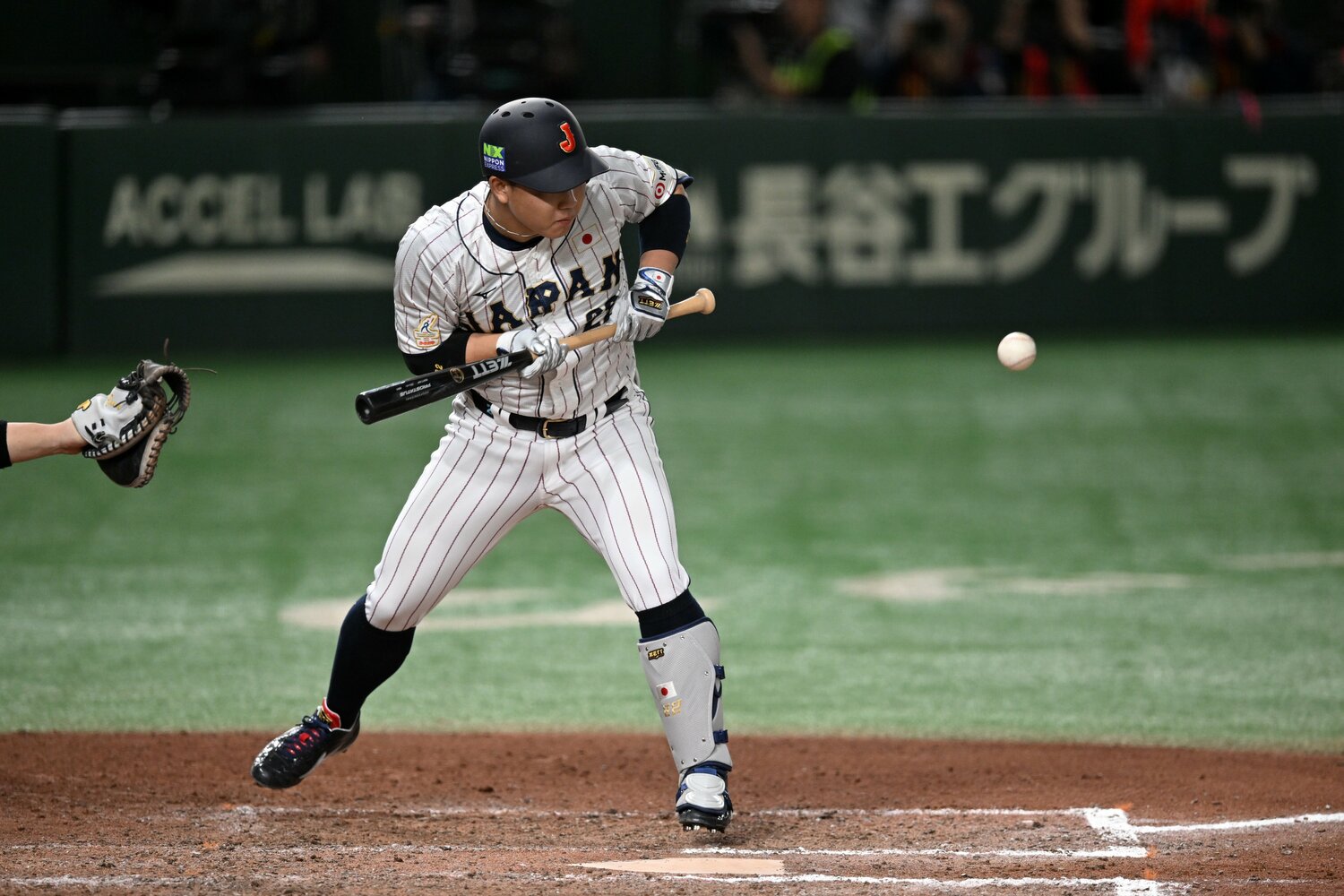 決勝の韓国戦10回裏、“ピンチバンター”としてきっちり送りバントを決めた古賀悠斗　©︎Getty Images