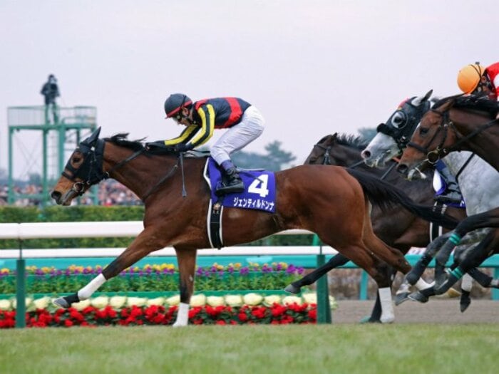 歴史的名牝、ラストランの有馬を制す！流れが全てジェンティルに向いた理由。＜Number Web＞ photograph by Yuji Takahashi