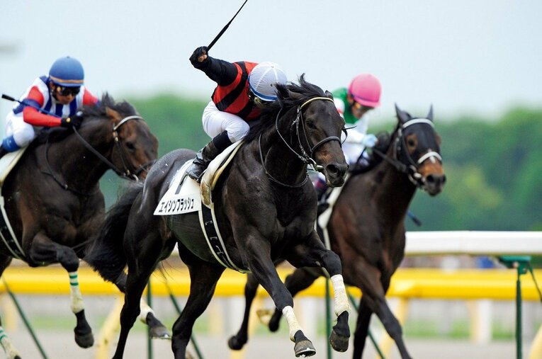 2010年の日本ダービーを制したエイシンフラッシュ。上がり3ハロン32秒7という破格の末脚を繰り出して力強く差し切った ／ photograph by Kiichi Yamamoto