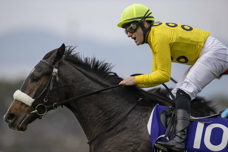 阪神JF（GI）を制したサークルオブライフは2番人気が予想される　©Photostud