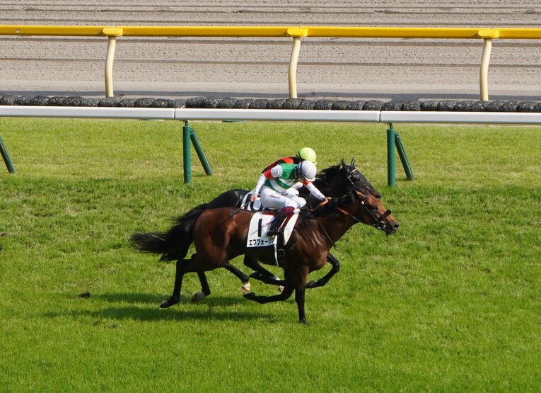ダービーを制した際のエフフォーリア