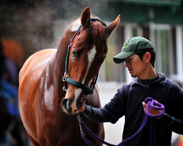 カジノドライヴは新馬戦圧勝後に米ピーターパンSに勝利。種牡馬としてもカジノフォンテンを送り出した　©Getty Images