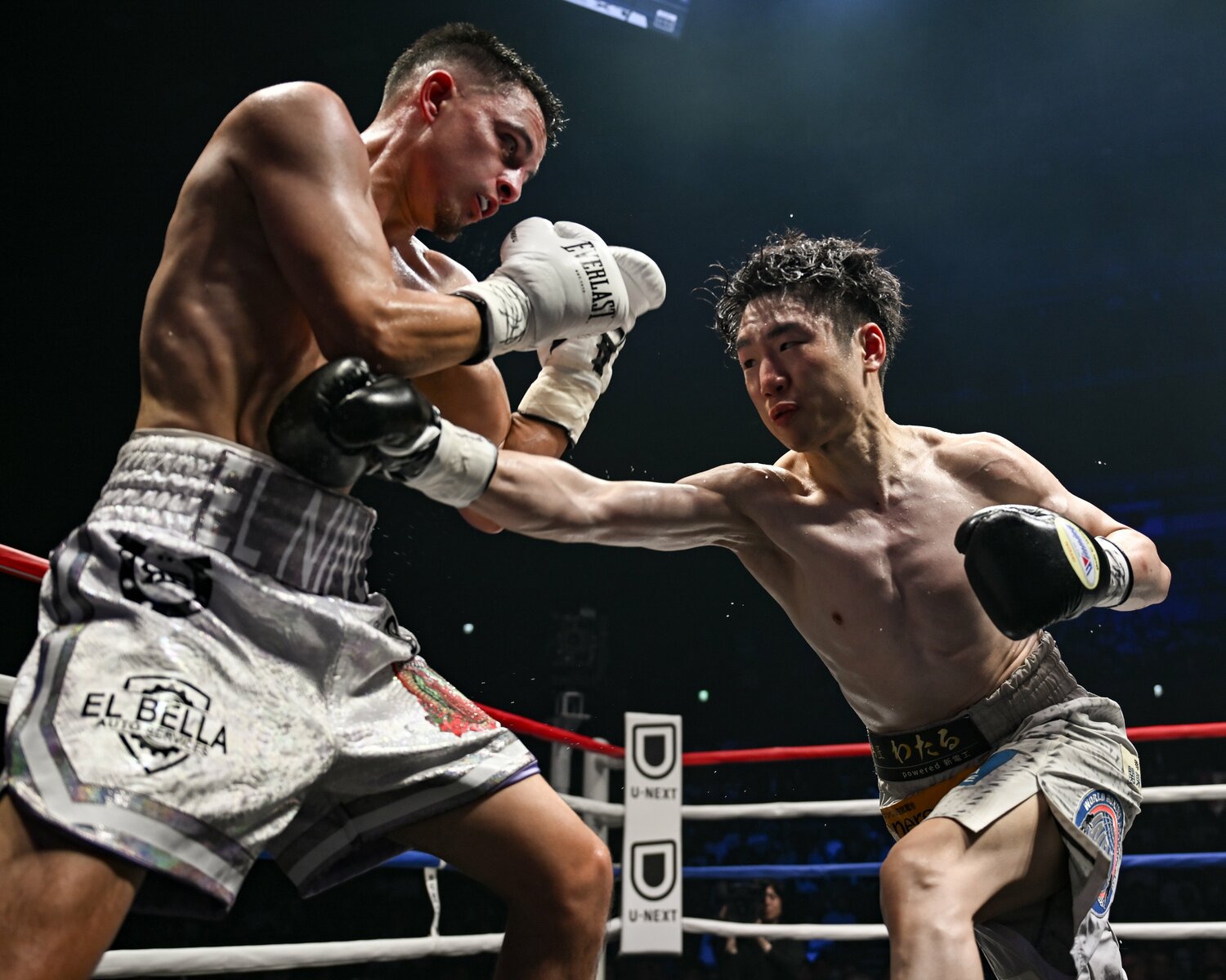 王者・寺地（右）にダウンを喫するも、着実にポイントを積み重ねたサンドバル　©︎Hiroaki Finito Yamaguchi
