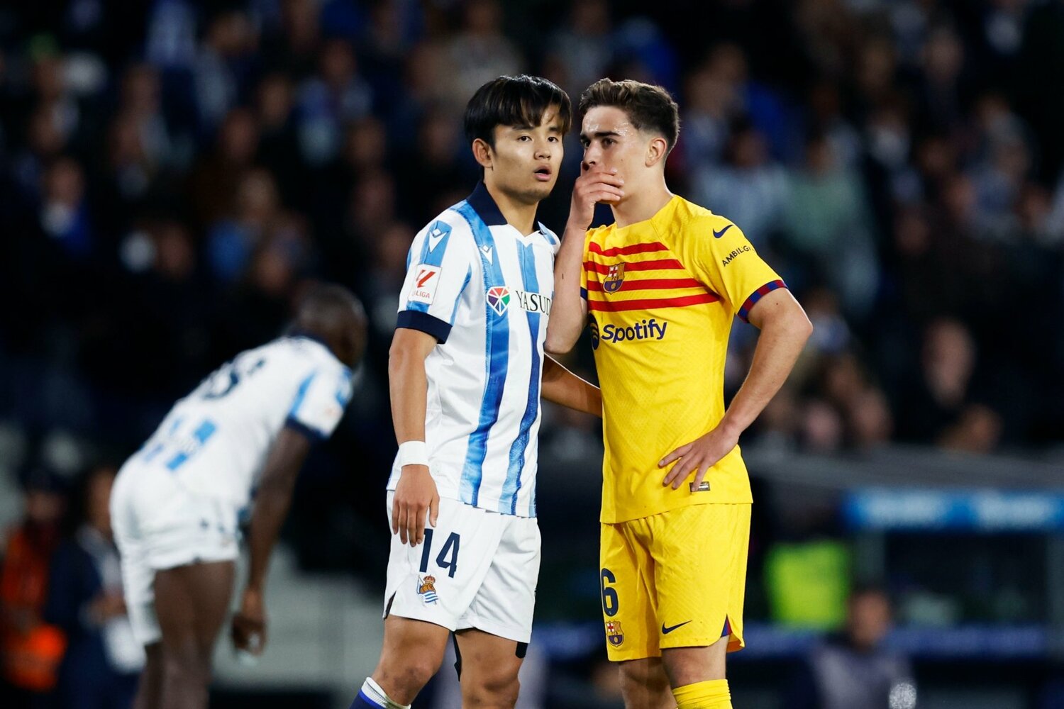 激しい攻防の後にはお互い歩み寄り、なんでもないよといった仕草と共に話し合う姿も