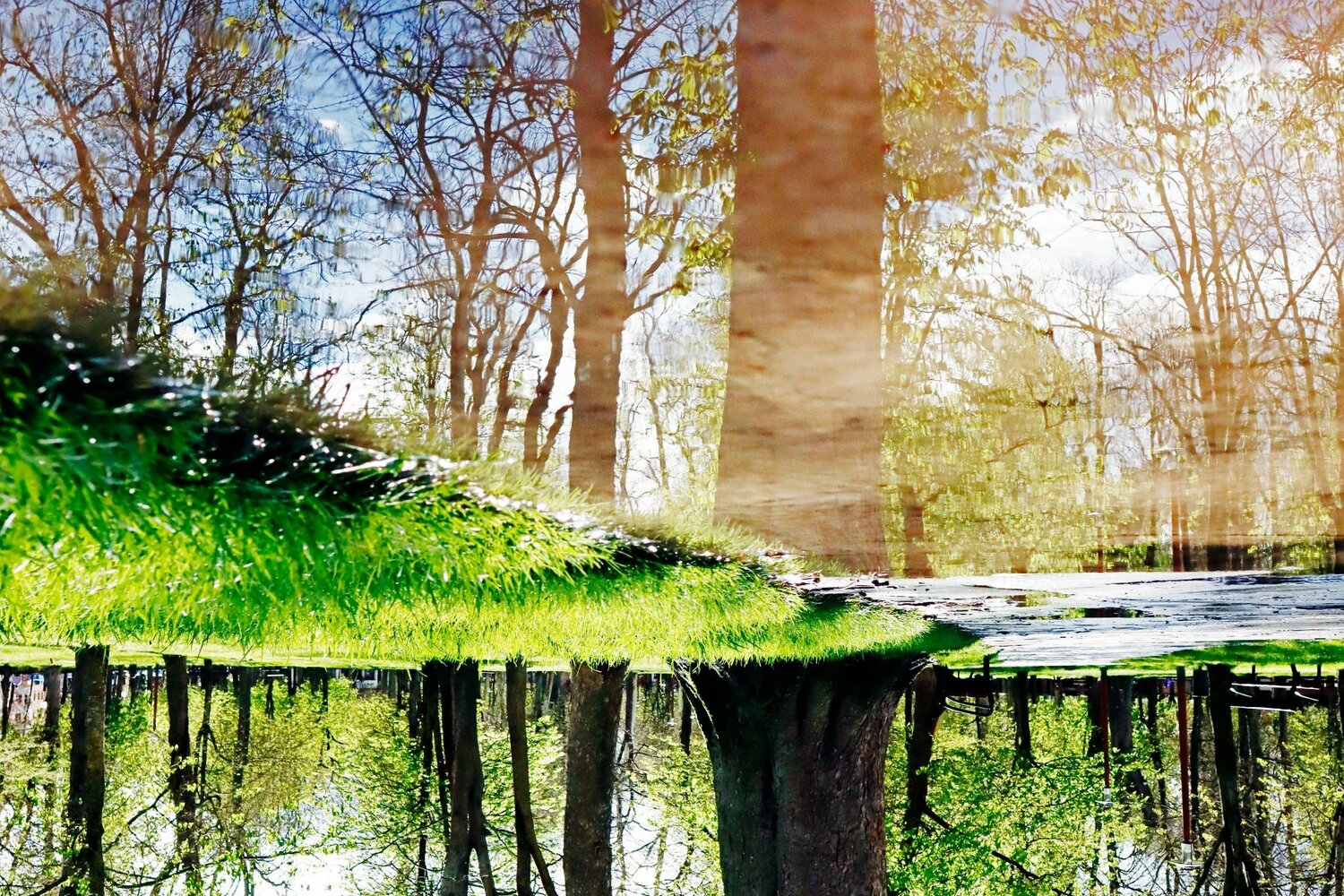 スタジアム到着前の散策にて。幻想的な風景の公園