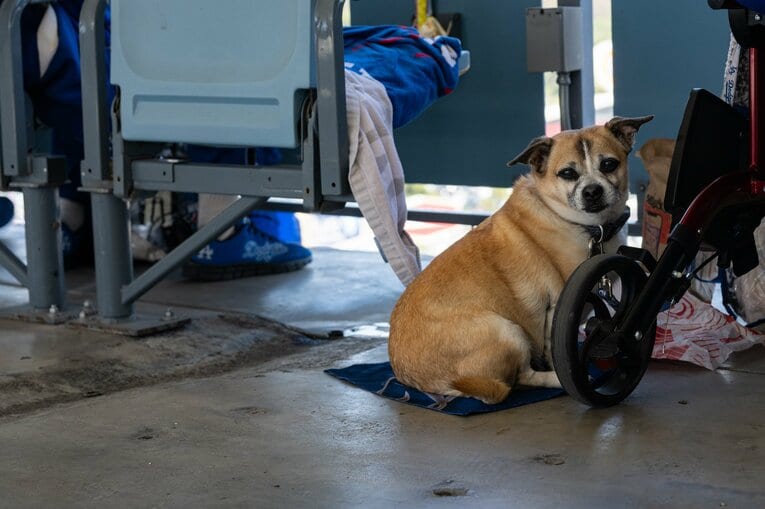 【現地開幕戦】　©Nanae Suzuki