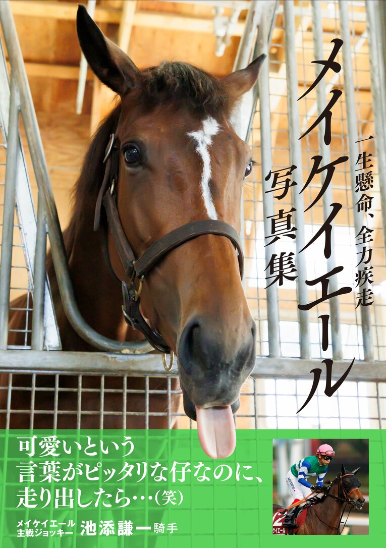 『メイケイエール写真集 一生懸命、全力疾走』（ガイドワークス）※画像をクリックするとAmazonのサイトにジャンプします