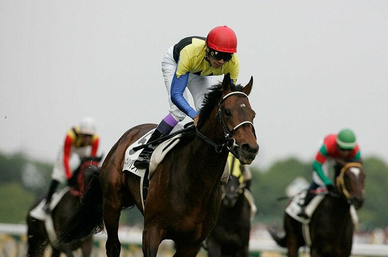 武豊も愛したディープインパクト。人間なら50代、飛ぶように逝く。(4) ／ photograph by Tamon Matsuzono