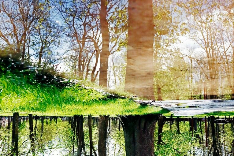 スタジアム到着前の散策にて。幻想的な風景の公園