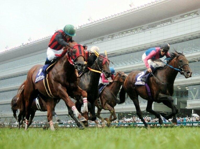 写真は2008年の宝塚記念（阪神競馬場）。優勝したエイシンデピュティ（左）と2着のメイショウサムソン（右）　©KYODO