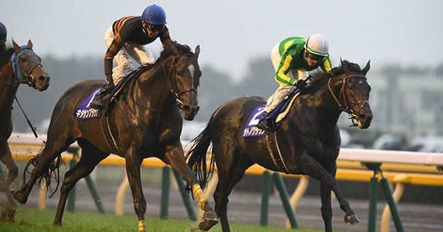 藤原サトノダイヤモンド 新馬戦〜天皇賞・春２歳から４歳国内全１０戦現地単勝 サトノダイヤモンド、天皇賞春の4つの敗因は？血統から導く理由