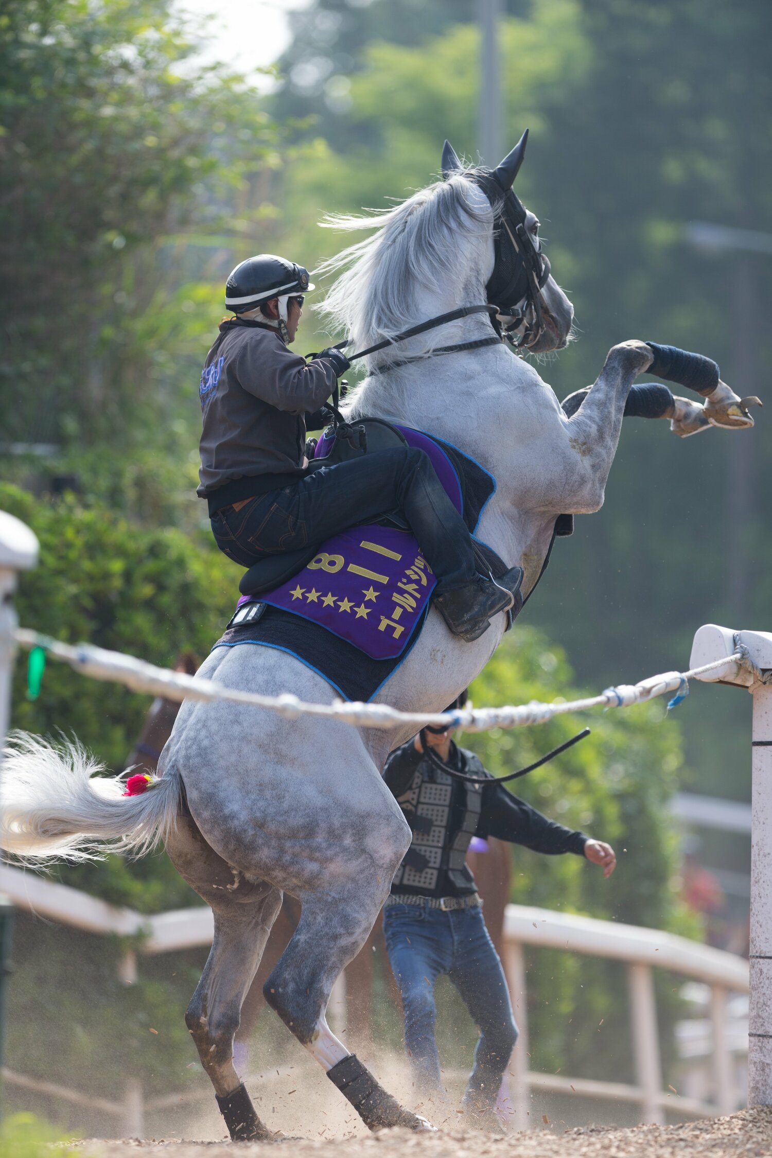 調教中に立ち上がる現役時代のゴールドシップ　©Getty Images