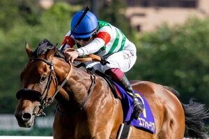 【日本ダービー】サトノレイナスとウオッカの“大きな違い”とは？ エフフォーリア圧倒的有利も、対照的な脚質の「怖い存在」が