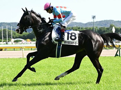 出資者限定　イクイノックス　アクセサリートレー　　天皇賞・秋　競馬　JRA img_b92b22c8b76d41839ff10edb1a