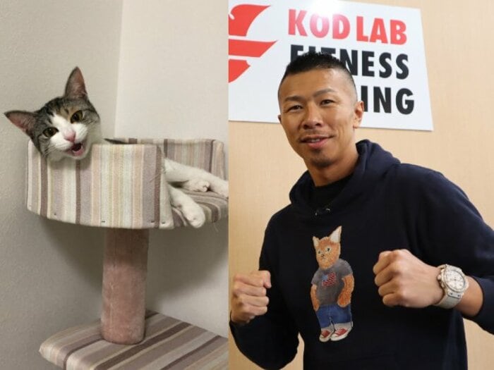 「ボクサーはなぜ猫好きなのか？」猫パンチを食らっても愛する内山高志が答える…女性のタイプもネコ系!?《拳四朗は猫ケーキ発注》＜Number Web＞ photograph by Takashi Uchiyama