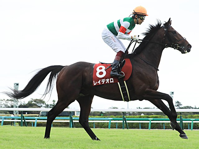ジャパンカップ史上初の外国馬ゼロ。強い日本馬と、集った世界の名騎手