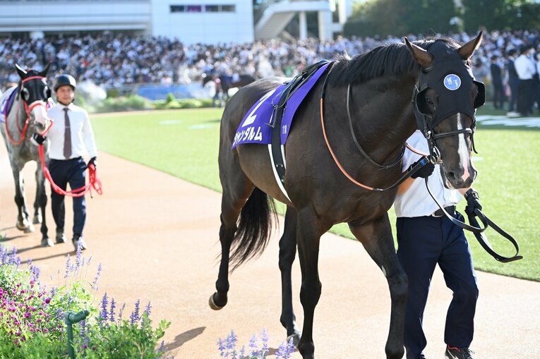1番人気メイケイエールはなぜ不発に終わった？ 波乱のスプリンターズS、「すべての展開が味方した」ジャンダルムが生んだ“血のドラマ”(9)
