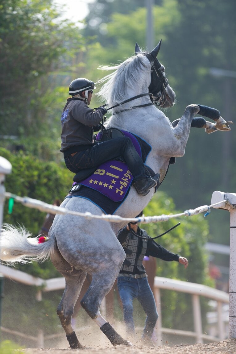 調教中にドロップキック状態のゴールドシップ ／ photograph by Getty Images