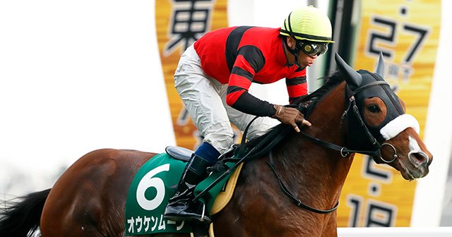 競馬 キタサンブラック 菊花賞 北村宏 サイン 写真