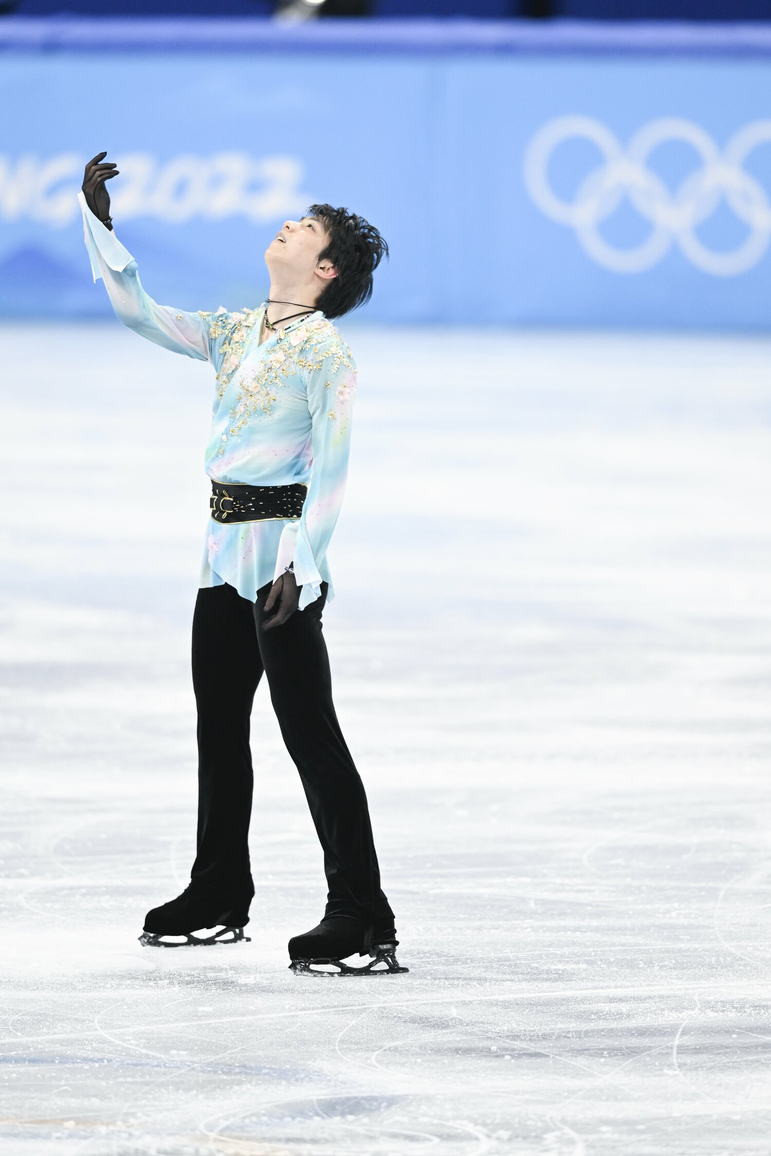 ©Asami Enomoto/JMPA