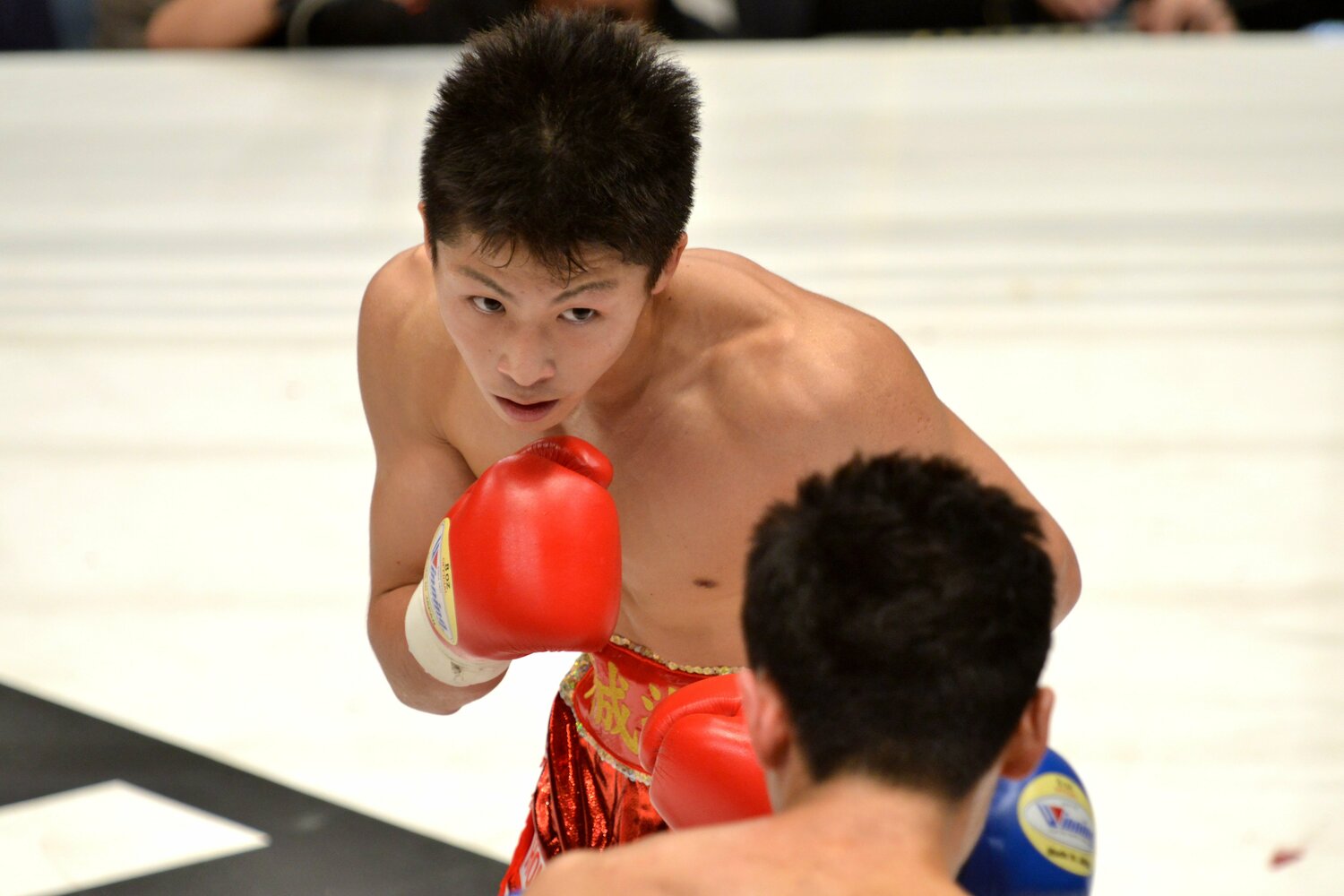 2013年4月のプロ3戦目、佐野友樹さんと対峙する井上尚弥　©Hiroaki Yamaguchi/AFLO