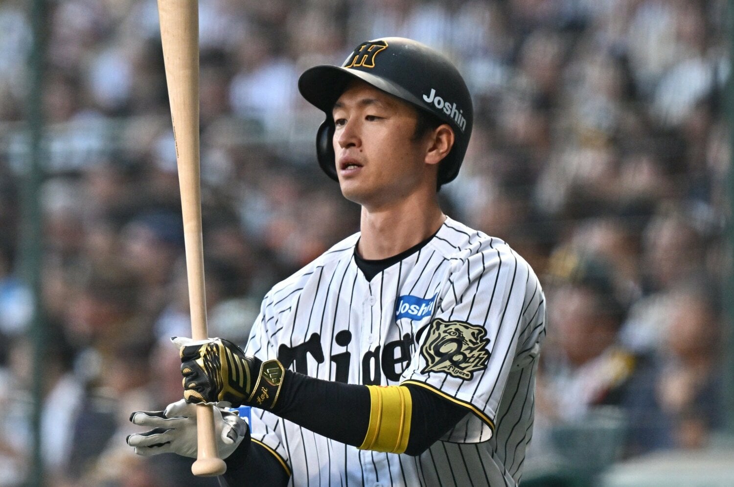 171センチ、71キロ。小柄ながら、入団1年目から毎年タイトルを獲得している阪神・近本光司 ©Hideki Sugiyama