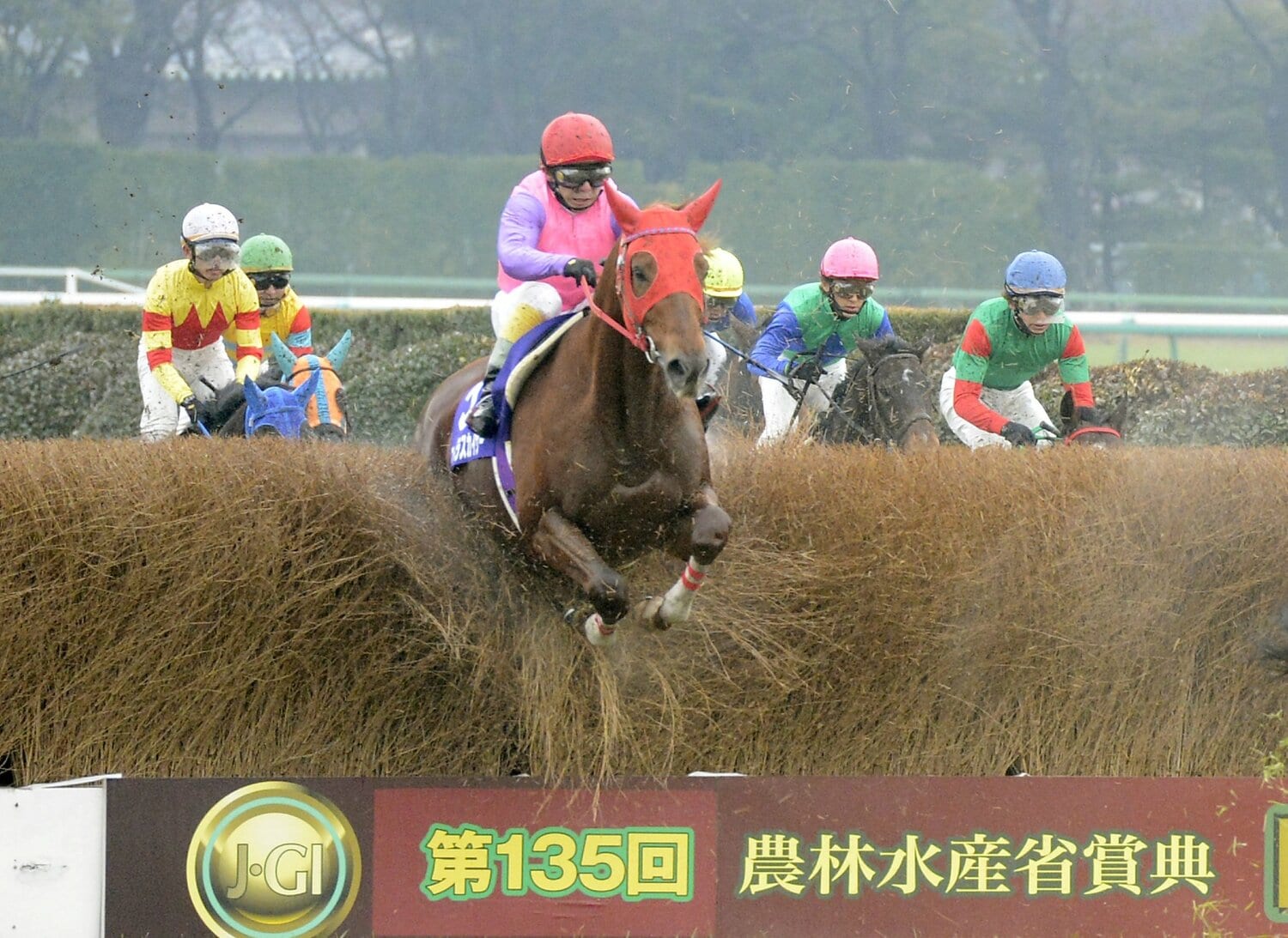 中山大障害でのマーベラスカイザーの飛越。熊沢重文は障害レースで抜群の安定感を誇った　©Sankei Shimbun