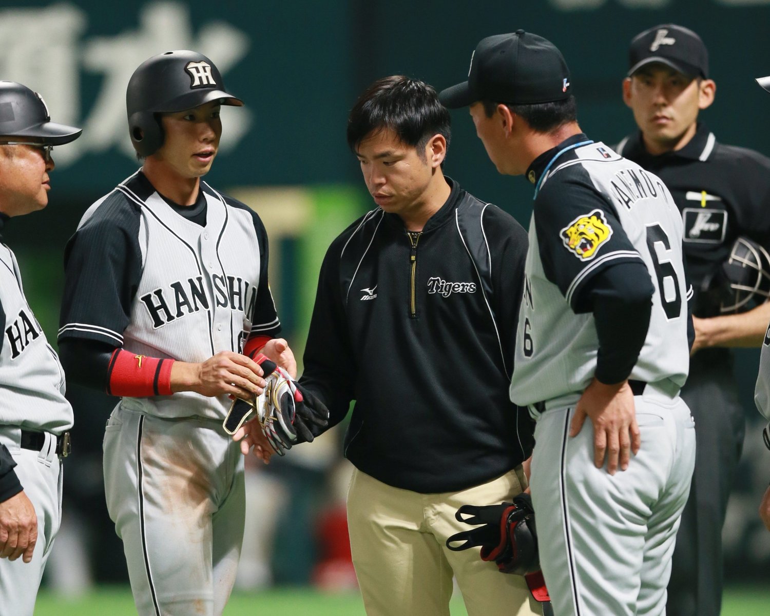 2016年3月3日、ソフトバンクとのオープン戦の6回、死球を受け、金本監督に状態を確認される阪神・緒方凌介　(C)Sankei Shimbun