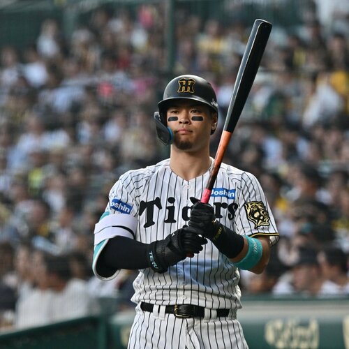 しんべいさん専用 阪神タイガース 藤本敦士選手 実使用バット サイン入り しんべいさん専用 阪神タイガース 藤本敦士選手 実使用バット サイン