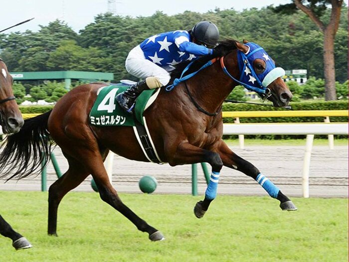 名馬シンザンと同じエピソード？新潟2歳Sを勝った“後肢で歩く馬”。＜Number Web＞ photograph by NIKKAN SPORTS