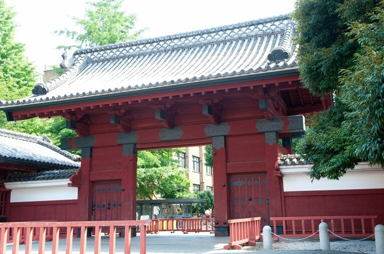 言わずと知れた日本の最難関大学である東京大学。その水泳部競泳チームが躍進を見せている理由は…？　©BUNGEISHUNJU