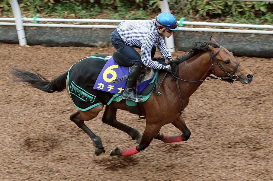 大混戦ダービーは騎手の腕次第!カデナで福永祐一の男泣きが見たい。<Number Web> photograph by Kyodo News
