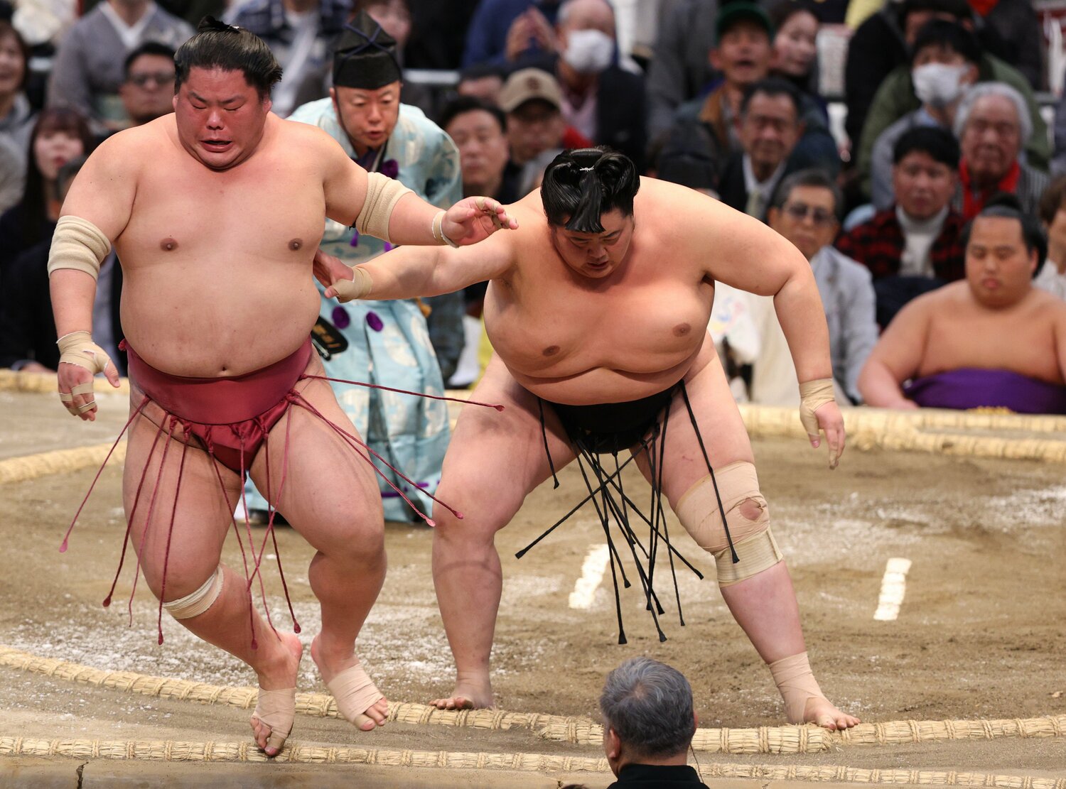 12日目、寄り切りで大栄翔を下す琴櫻。場所中、膝にテーピングをしていた　©JIJI PRESS