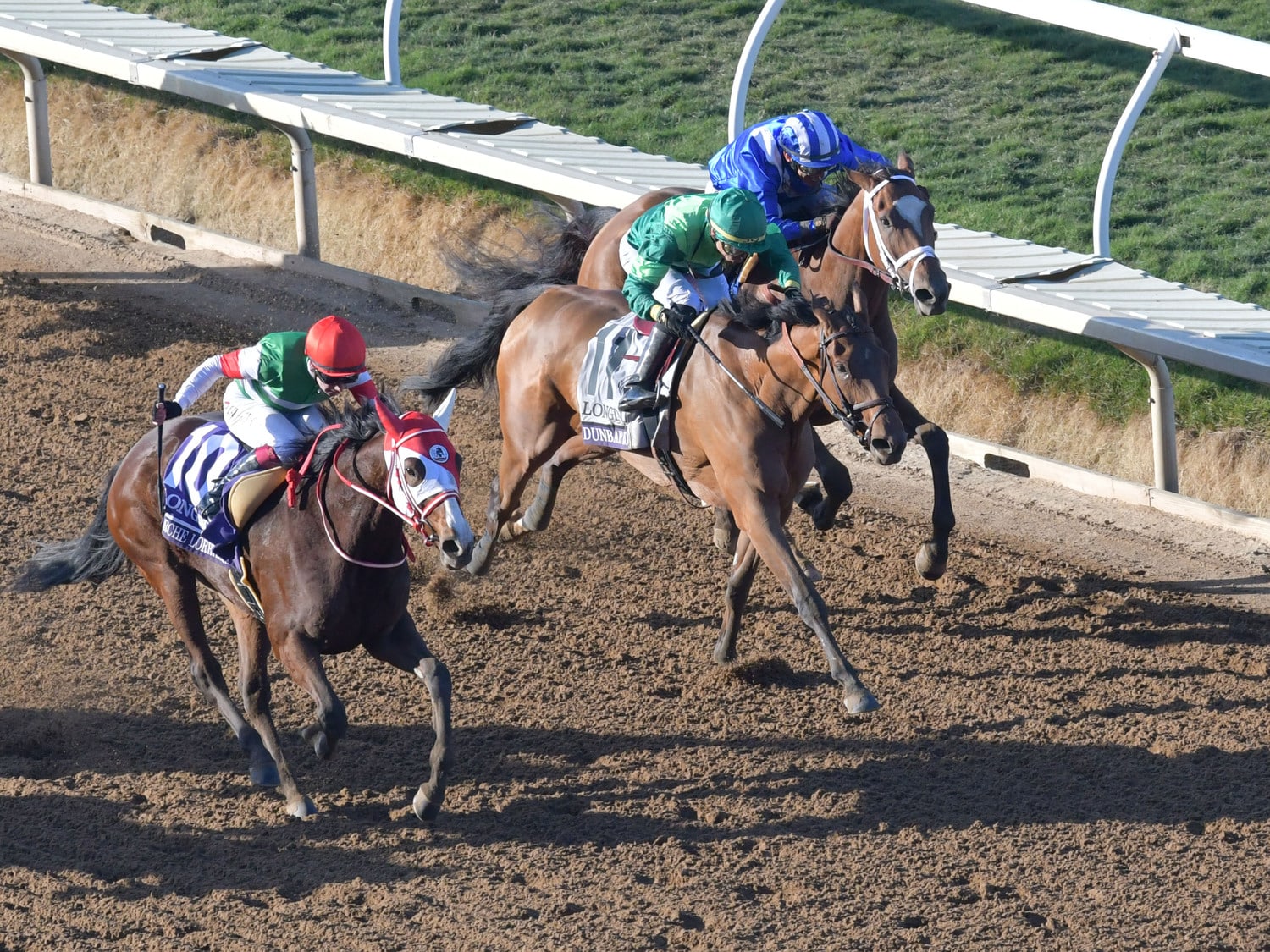 Jra賞の大疑問 マルシュロレーヌは本当に特別賞に値しないのか 史上初の日本馬bcディスタフ制覇は 63年越しの偉業 だった 競馬 Number Web ナンバー