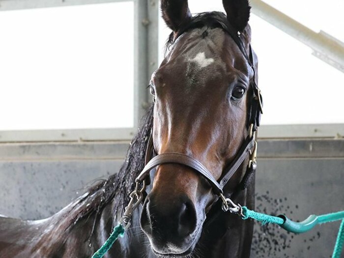 無敗の皐月賞馬＝名馬という歴史。サートゥルナーリアは本当に1強か。＜Number Web＞ photograph by Yuji Takahashi