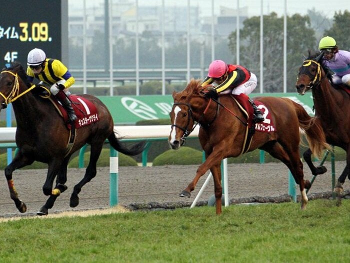 敗れてなお破格の存在感。天皇賞も主役はオルフェ。～本来の末脚勝負でGI5勝目を～＜Number Web＞ photograph by NIKKAN SPORTS