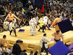 若手日本人力士を育成するための積極策を。～相撲人気復活の切り札とは？～