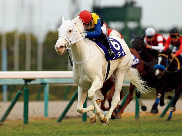 【桜花賞】“天性のスター”白毛馬ソダシに「不吉な材料」が？  “良血中の良血” “ものすごい大物感”など濃厚キャラ4頭も揃い大混戦＜Number Web＞ photograph by Photostud